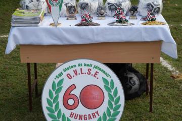 VI. Kárpát-medencei Veterán Labdarúgó Találkozó 